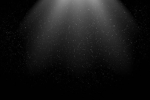 [ Frost Studio ]