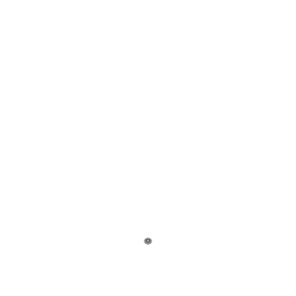 Spawn Point