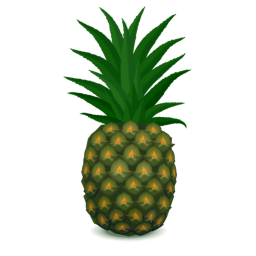 an obby
