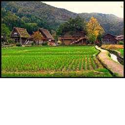 cult village