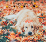 - Preppy Puppy Pals -