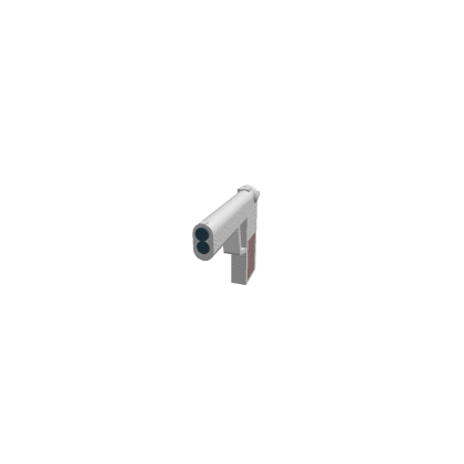 My first gun
