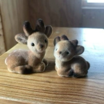 nominstarz