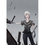 im combat karl