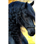 Arabian River-Steal Riding AcademyIOfficialMembers
