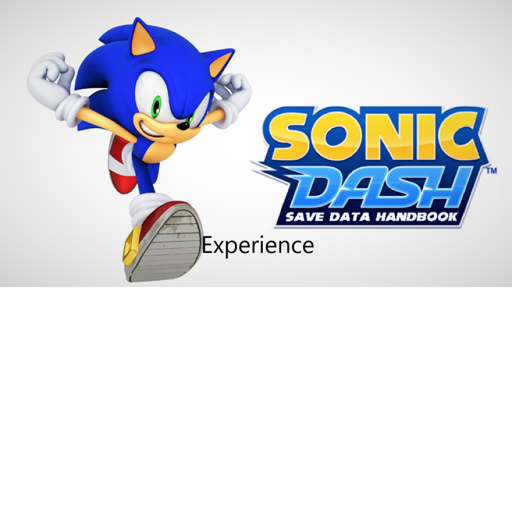 Sonic Experience dash