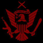 The United States of America Reborn