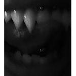 zumz