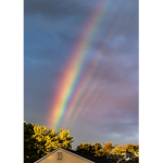 Rainbow Friends!!!