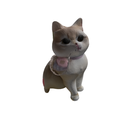 White Cute Cat