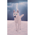 Modern wolf
