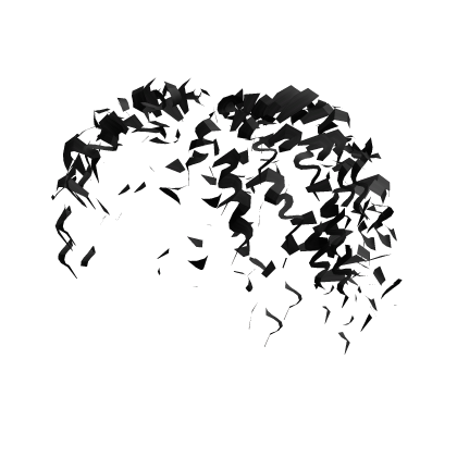 Low Fade Curly Black Hair 2/2 Roblox item