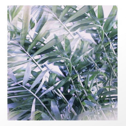 purple and green leaves Roblox decal