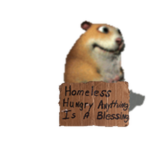 Homeless Chomik