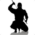 Ninja Assassins!
