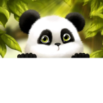 daa pandass