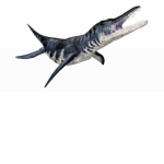 The Liopleurodon Club
