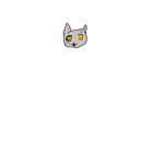 Warrior Cats Fans!!!