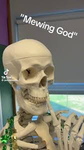 the mewing skeletens