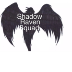 Shadow Raven Squad-Special Forces