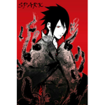 Spark Sasuke Crew!