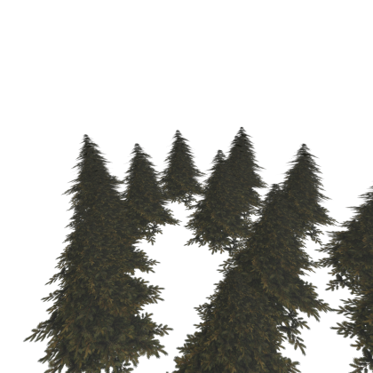 Tree Forest Realistic Nature Biome Pack