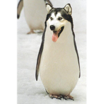 VinNyViNNyysys