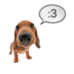 funchatbubbles