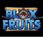 Blox fruits fighters