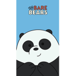 we are the bear group!