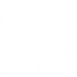 Fresh Vibe Clothing