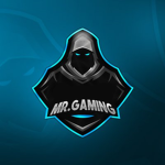Mr_Gamin TM