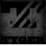 TYGER Military