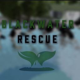 Orca Stadium | BlackWater Rescue