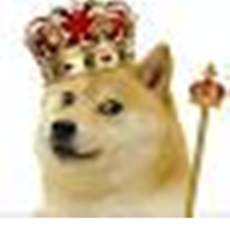DOGE UNITED TRAINING CENTER