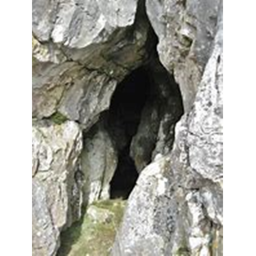 The Caves [BETA] Thoughts!