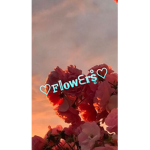 Wild Flowers hehe