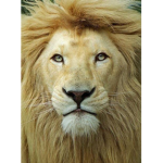 official london_RBYOUTUBE Sqad!!!!!!!!!!!!!!!!!