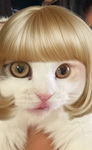 リア充撲滅