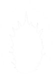 TESTPROTWOPRKING