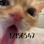 h 3 a r t l 0 v e z z
