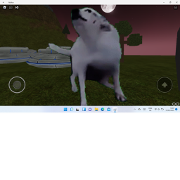 zombie survival