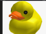 THE EPIC DUCK GROUP cool group