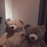 teddy team :)