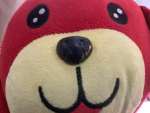 犬好きと猫好きの集まり場
