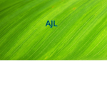 PAND4 CLAN