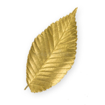 Golden Leaf Tribe