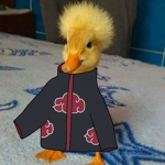 The Akatsuki people