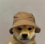 ops1
