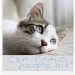The Cool Cat Army